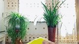 每天一分钟，还你一张少女脸。滋养面部，改善肤色暗沉！