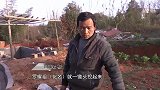 岳父跟女婿有说有笑，哪料下一秒岳父竟拿起了锄头，砍向女婿！
