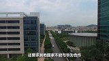 两极反转？德国牵头欧洲28找上华为，中东11国紧随其后！