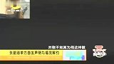 娱乐播报-20111025-张韶涵家丑后单方面发表明与福茂解约