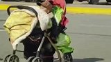 大人运输白菜婴儿车变小推车