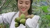 靠山吃山，你们吃过野生核桃吗？口感特别的棒哦