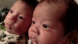长的一点都不像的双胞胎宝宝，爸爸一手抱一个可爱极了