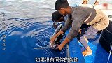 捕获三条上百斤的旗鱼是什么样的体验？