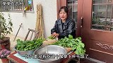 媳妇把萝卜秧窝成酸菜，3天后老妈把它做成酸菜焖米饭，还挺好吃