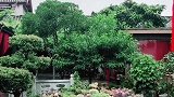 在丽江经营民宿，我对肉肉情有独钟。