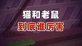 麻团与叮叮：猫猫和老鼠谁爱吃甜的？到底谁在陷害谁？