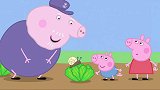 小猪佩奇：爷爷蜂箱好厉害，可以收集蜂蜜，真是不错