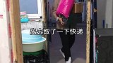 今天收拾不穿的衣服，满满两袋子太重了，没地方放还舍不得扔！