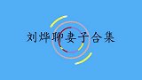 刘烨不愿去法国生活，让老婆带着孩子来中国定居！刘烨聊老婆合集