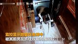 知名博主爆料遭前男友家暴 逃至电梯后被暴力拖出