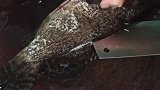 清蒸石斑鱼，鱼肉鲜嫩原汁原味，家常做法时间控制最重要