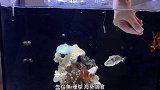 又是看完以后没了烦恼的一天