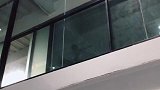 不明飞行物入侵办公室，后被击落