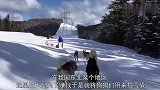 为牟取暴利，让狗狗充当雪橇犬拉2个成年人，画面让人心疼！