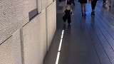 小孩追光撞铁门，惊呼光也不可信