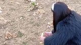 女生用小时候方法放炮，结果直接一炮冲天，网友：吓人