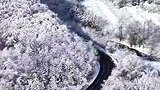 #冰天雪地也是金山银山｜初雪覆盖的本桓公路，道路两旁的山峦被白雪覆盖，宛如一幅美丽的画卷，美到令人窒息。＃一场大雪美如画＃雪一落这里就美成了诗 #治愈系风景 ＃冰天雪地也是金山银山 ＃遇见本溪