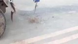 举行车子的拔河比赛，柴油车跟SUV不分高下