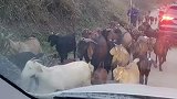 老板，我今天可能要迟到了