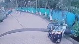 印度：一嘟嘟车停在树下被压垮，司机紧急跳出逃生