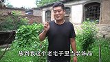老三路边捡到老式木箱，刚打开就惊呆了，究竟看到了什么