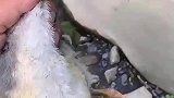 你对我的速度一无所知