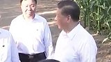 习语丨“中国人要把饭碗端在自己手里”