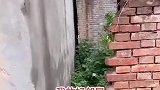 邻居盖房我没在家，回来邻居水也给占了