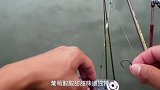 葡萄钓大鱼是有多厉害。