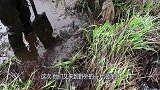 挖宝小分队意外收获“神秘”物品，凑近一看，瞬间惊呆了！