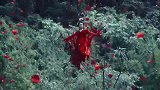 那些一眼万年的出场，谁惊艳了你