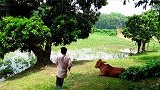 这话筒这么没有声音呢，是不是没有打开开关