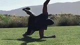 英超-1718赛季-巴拉克阳光下苦练体能 退役后仍不忘保持身材-专题