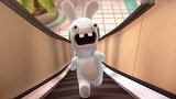 疯狂的兔子：兔子从电梯上滚下来无数次，真可怜！