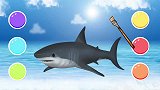 趣味识动物：给动物涂上好看的颜色，学习认识鲨鱼企鹅等动物