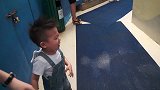 小宝宝去看白鲸，结果让白鲸给无情的洗礼了，小娃被浇的一脸懵圈
