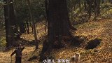 孩子和爷爷相依为命，爷爷因病去世后，只剩下孤身一人了！