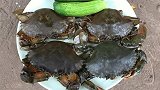 户外美食：爆炒螃蟹