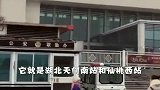 中国最“搞笑”的高铁站,到家了请到下个城市下车,真是这样吗