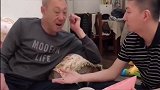 女婿设局变魔术，套路太深，结果老丈人都懵了