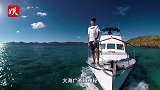 20年前男子潜入海底发现神秘圆圈，如今谜底破解！是它干的！