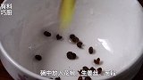 自制脆皮肠，皮脆肉弹无添加，咬一口就爆汁，比外面卖的还好吃