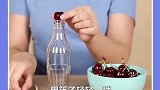 你收到秋天里的第一份水果了嘛