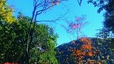 凡事尽心尽力，偿试过，努力过，问心无愧足矣。