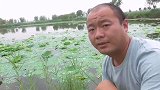 七星漂钓草洞，这是捅了鱼窝吗？全是这种鱼