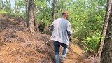 落了一夜的雨，拐哥带大家集体进山“找宝”，收获多的背篓装不下