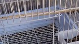来来来，都给我……