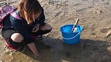 大海退潮后，美女拿着桶来海边抓皮皮虾，真羡慕住在海边的农村人