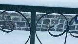 终于下雪了，但是玩着玩着我发现，谁放在这故意谋害我的